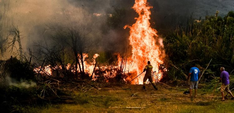 Μεγάλη αναζωπύρωση της φωτιάς στη Βαλμοράχη Ηλείας – Μάχη με τις διάσπαρτες εστίες σε Λάττα και Πρόδρομο