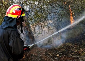 Φωτιά στον Λαγό Έβρου