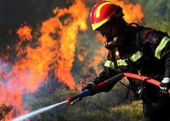 Φωτιές σε Λακωνία, Τζουμέρκα και Πιερία