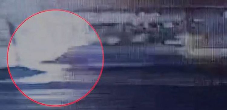 Βίντεο ντοκουμέντο από την παράσυρση της 17χρονης στη Λεωφόρο Αθηνών – Σε σοβαρή κατάσταση η κοπέλα