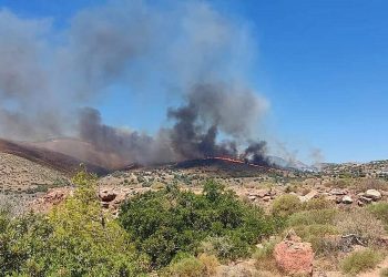 Δήμαρχος Λαυρεωτικής για τη φωτιά στην Κερατέα: «Η κατάσταση είναι πολύ δύσκολη, δίνουμε μεγάλη μάχη»