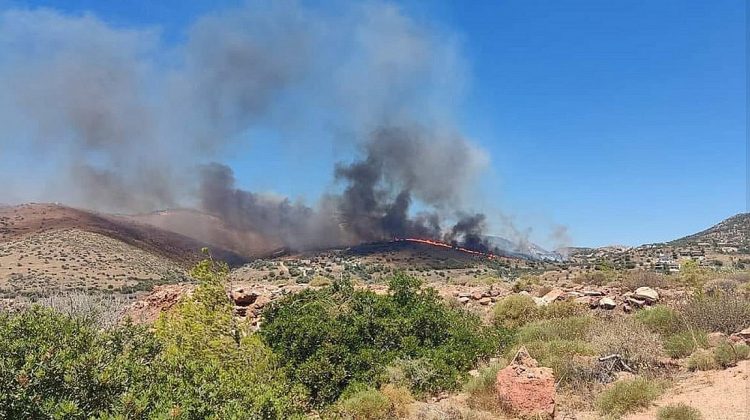 Δήμαρχος Λαυρεωτικής για τη φωτιά στην Κερατέα: «Η κατάσταση είναι πολύ δύσκολη, δίνουμε μεγάλη μάχη»