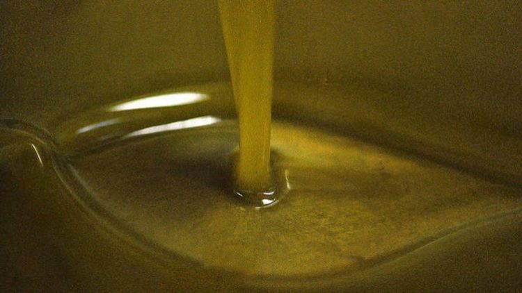 Ισπανία: Η κυβέρνηση θα μηδενίσει τον ΦΠΑ στο ελαιόλαδο