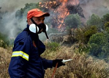 Βόλβη: Σε εξέλιξη φωτιά κοντά στον οικισμό Λίμνη