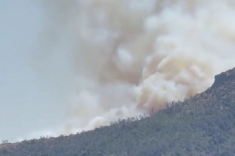 Σε εξέλιξη φωτιά στην Πάρνηθα – Μεγάλη κινητοποίηση της Πυροσβεστικής