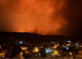 Τουρκία: 6 νεκροί 44 τραυματίες από μεγάλη αγροτική πυρκαγιά – ΒΙΝΤΕΟ