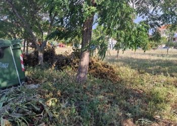 Τι πρέπει να κάνουν οι πολίτες με τις δηλώσεις για τους καθαρισμούς των οικοπέδων