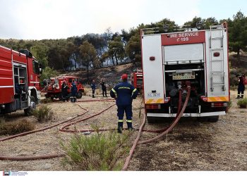 Φωτιά στα Γλυκά Νερά: Ποινική δίωξη στον εμπρηστή