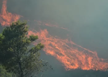 Δύσκολα πύρινα μέτωπα σε Χίο και Κω, τραυματίστηκαν πυροσβέστες UPD
