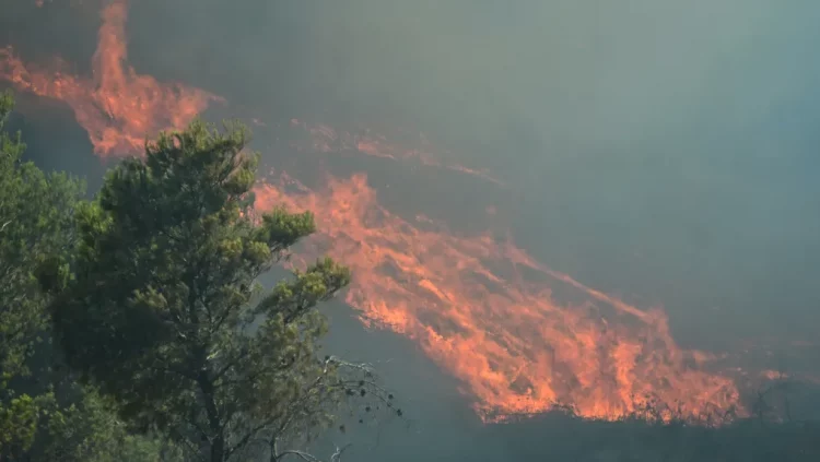 Δύσκολα πύρινα μέτωπα σε Χίο και Κω, τραυματίστηκαν πυροσβέστες UPD