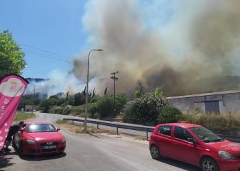Φωτιά στην Πρέβεζα / Σκληρή μάχη με τις φλόγες – Μήνυμα του 112 (βίντεο)
