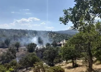 Φωτιά στο Σουφλί  Έβρου – Επιχειρούν και εναέρια μέσα