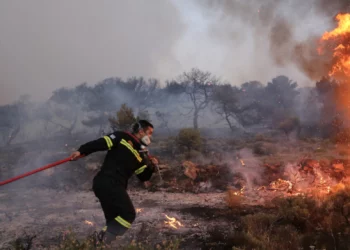 Φωτιά κοντά σε οικισμό στην Πάργα – Μεγάλη η κινητοποίηση της πυροσβεστικής