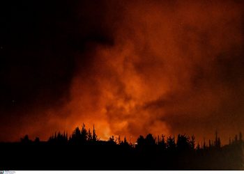 Φωτιά στη Στιμάγκα Κορινθίας: 37 μήνες φυλακή χωρίς αναστολή στον εμπρηστή