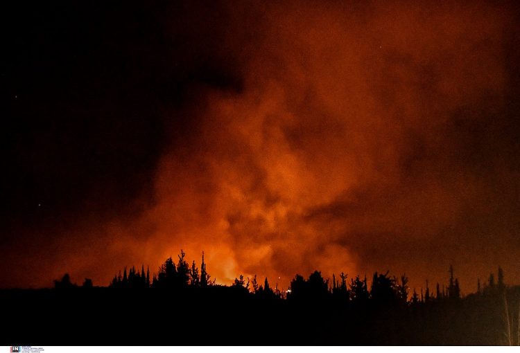 Φωτιά στη Στιμάγκα Κορινθίας: 37 μήνες φυλακή χωρίς αναστολή στον εμπρηστή