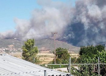 Πυρκαγιά στην Ευβοία: Μήνυμα από το 112 – Εκκενώνονται 3 περιοχές
