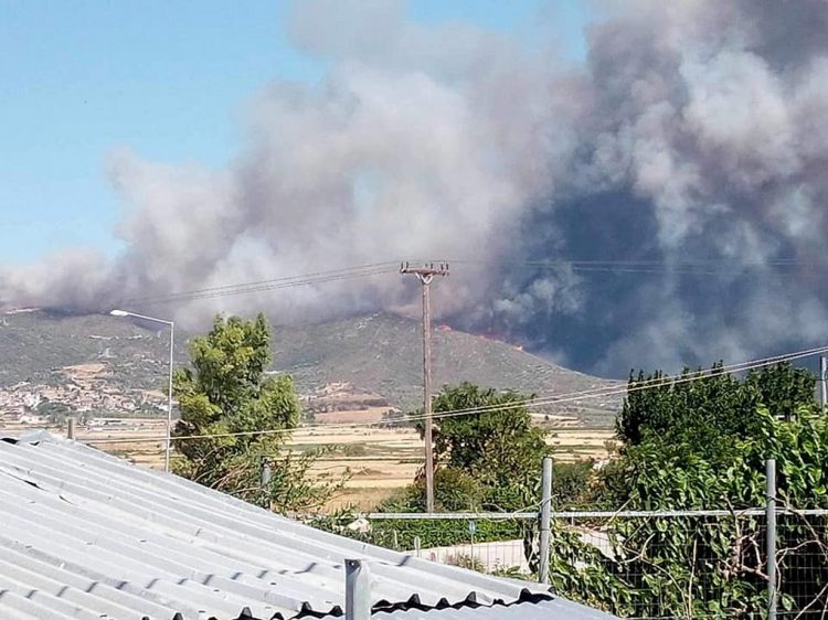 Πυρκαγιά στην Ευβοία: Μήνυμα από το 112 – Εκκενώνονται 3 περιοχές