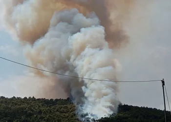 Συναγερμός για φωτιά στα Γλυκά Νερά κοντά στον οικισμό – Σηκώθηκαν εναέρια μέσα, μήνυμα από το 112