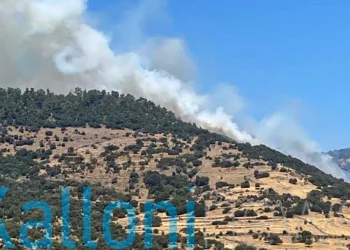 Μεγάλη φωτιά στη Λέσβο, επιχειρούν οκτώ αεροσκάφη και ένα ελικόπτερο – Ενισχύονται οι δυνάμεις