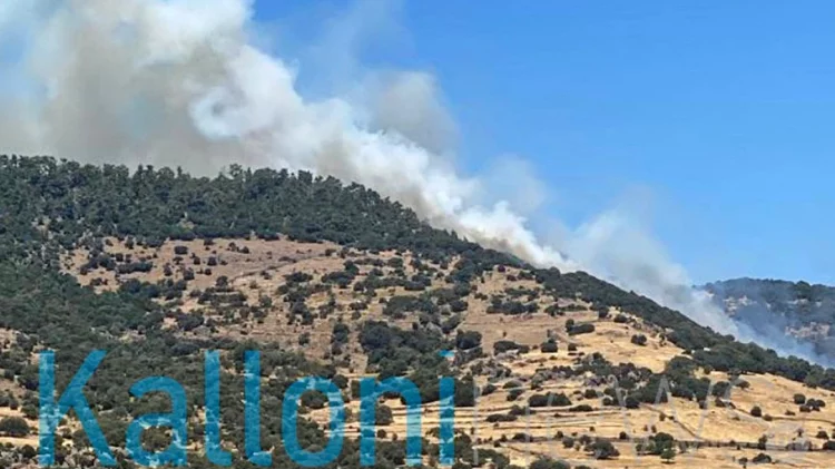 Μεγάλη φωτιά στη Λέσβο, επιχειρούν οκτώ αεροσκάφη και ένα ελικόπτερο – Ενισχύονται οι δυνάμεις