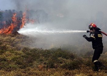 Νέα Επίδαυρος: Πυρκαγιά από κεραυνό στο όρος Άκρος