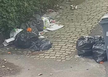 Έφαγαν πρόστιμο 1.400 ευρώ επειδή μάζεψαν τα σκουπίδια έξω από το σπίτι τους – «Και αρουραίους να δούμε, δεν θα βοηθήσουμε ξανά»