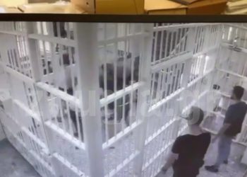 Το βίντεο της δολοφονίας του Αλβανού Ντότζι στις φυλακές Κορυδαλλού