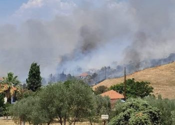Θεσσαλονίκη: Φωτιά ανάμεσα στο Τρίλοφο – Ήχησε το 112 – Απειλούνται σπίτια