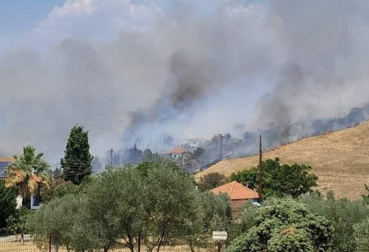 Θεσσαλονίκη: Φωτιά ανάμεσα στο Τρίλοφο – Ήχησε το 112 – Απειλούνται σπίτια