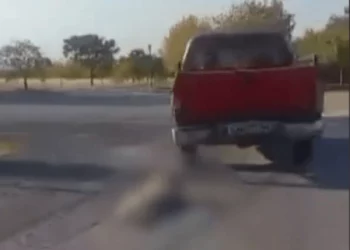 Βέροια: Ελεύθερος με εντολή εισαγγελέα ο 84χρονος που έσερνε σκύλο με αγροτικό αυτοκίνητο