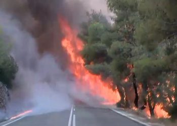 Σε εξέλιξη η πυρκαγιά στην Κορινθία – Τρεις τραυματίες πυροσβέστες – ΒΙΝΤΕΟ