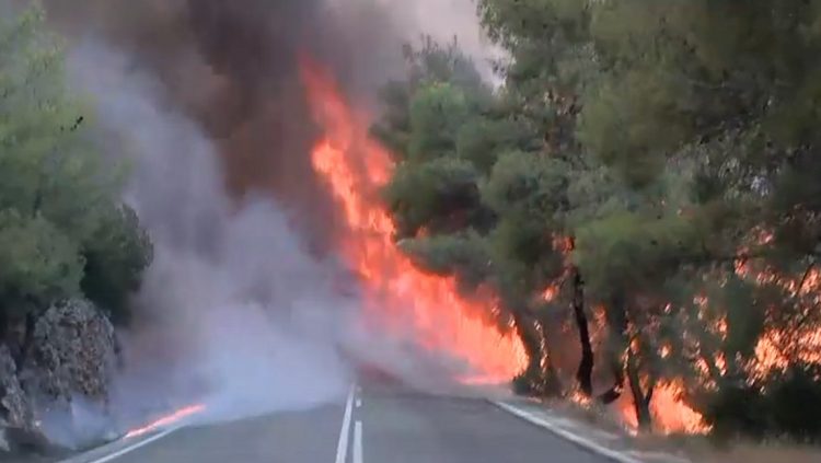 Σε εξέλιξη η πυρκαγιά στην Κορινθία – Τρεις τραυματίες πυροσβέστες – ΒΙΝΤΕΟ