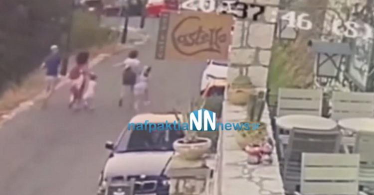 Ναύπακτος: Τρόμος για οικογένεια – Πτώση δέντρου παραλίγο να τους σκοτώσει – ΒΙΝΤΕΟ