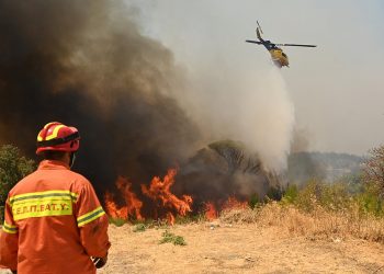Βαρνάβας: Πώς εκδηλώθηκε η πρώτη εστία της καταστροφικής πυρκαγιάς