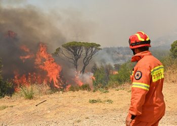 Το Εθνικό Αστεροσκοπείο για τις φωτιές του φετινού καλοκαιριού
