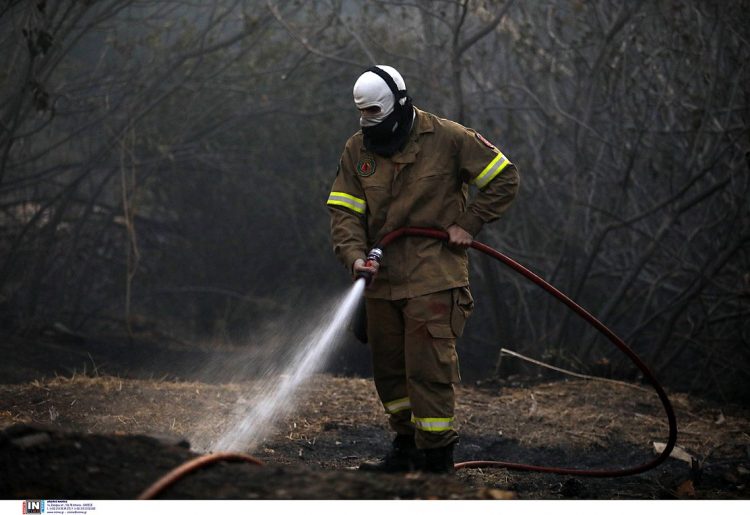 Πυροσβεστική: 41 πυρκαγιές σε όλη την χώρα το τελευταίο 24ωρο