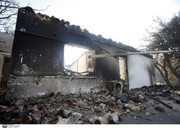 Φωτιές στην Αττική: Άνοιξε η πλατφόρμα arogi.gov.gr για τους πληγέντες