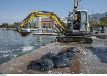 Βόλος: Θέμα στα διεθνή ΜΜΕ τα χιλιάδες νεκρά ψάρια