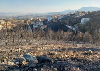 Αντιστράτηγος ε.α. για τη φωτιά στην Αττική: «Όποιοι μιλάνε για δεκάδες αεροπλάνα, μάλλον έβλεπαν την Ναυμαχία του Μίντγουει»