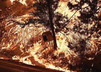 Πέντε μοιραία λάθη με την φωτιά στην Αττική