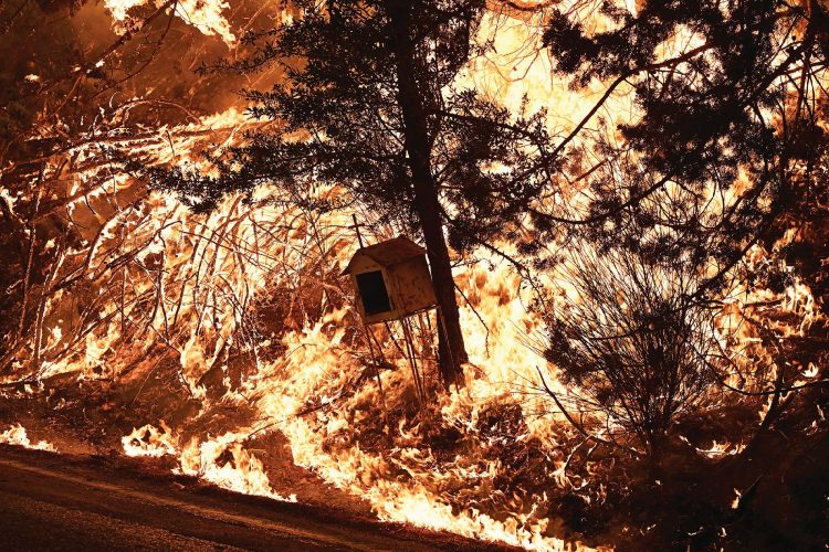 Πέντε μοιραία λάθη με την φωτιά στην Αττική