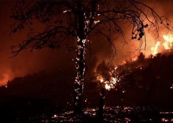 Αμείλικτα ερωτήματα των πολιτών για την ανεπάρκεια των πτητικών μέσων στην πυρκαγιά του Βαρνάβα, για την απουσία του Χαρδαλιά και για τον κακό συντονισμό παρά την πρόβλεψη για τον κίνδυνο πρόκλησης mega fire