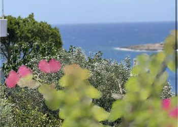 Ζωή Κωνσταντοπούλου: Ας γίνει αυτή η γιορτινή μέρα η έμπνευση για να διεκδικήσουμε αγάπη, έγνοια, φροντίδα για εμάς και την πανέμορφη Ελλάδα μας