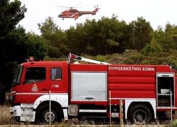 Πυρκαγιά σε αγροτοδασική έκταση στην Τανάγρα