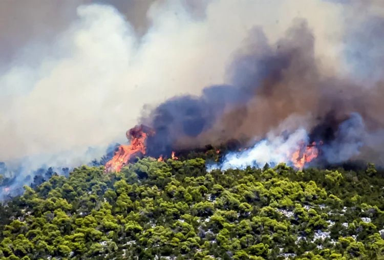 Οριοθετήθηκε η φωτιά στο Σουφλί – Μαίνεται η πυρκαγιά στην Ροδόπη