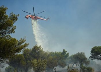 Φωτιά στη Φθιώτιδα: Τραυματίστηκε ελαφρά πυροσβέστης – Ήχησε το 112 στην Πρέβεζα, «μάχη» με τις φλόγες στη Μεσσηνία
