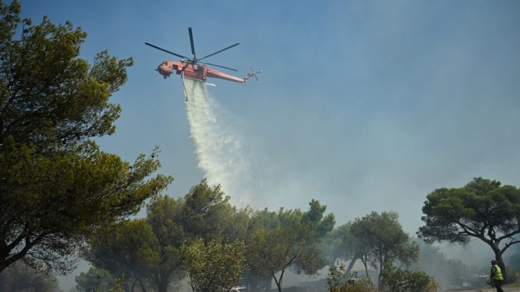 Φωτιά στη Φθιώτιδα: Τραυματίστηκε ελαφρά πυροσβέστης – Ήχησε το 112 στην Πρέβεζα, «μάχη» με τις φλόγες στη Μεσσηνία