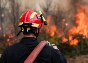 Μεσσηνία: Φωτιά στην περιοχή Στενύκλαρος