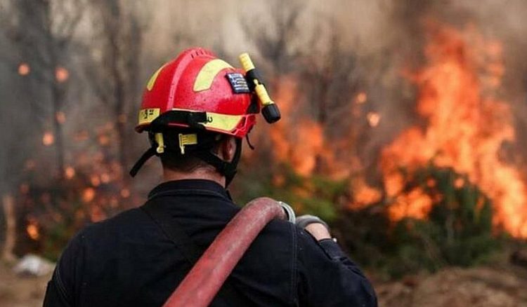 Μεσσηνία: Φωτιά στην περιοχή Στενύκλαρος