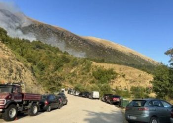 Ιωάννινα: Αναζωπυρώθηκε η πυρκαγιά στους Δρυμάδες Πωγωνίου